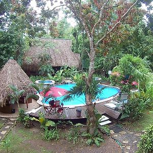 Hotel Hacienda Tijax Jungle Logde ริโอดุลเซ Exterior photo