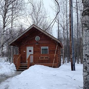 Swiss Alaska Inn ทัลคีทนา Exterior photo