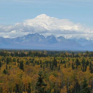 Denali Overlook Inn ทัลคีทนา Exterior photo