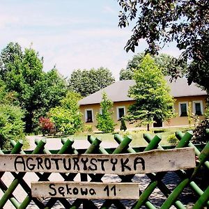 Agroturystyka Pod Modrzewiami Villa นอวี ทอมิสล์ Exterior photo