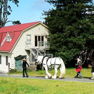 The Carriage House-Bay Of Islands Villa เคริเคริ Exterior photo