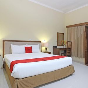 Reddoorz Near Candi Pawon Borobudur Hotel มาเกอลัง Exterior photo