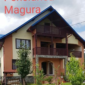 Pensiunea Magura บายาเดเฟียร์ Exterior photo