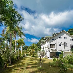 ลา โมเดสตี เกสท์เฮาส์ Hotel Grand Anse  Exterior photo