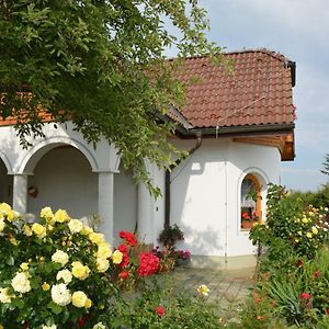 Pension Restaurant Rosenberg Hotel Jennersdorf Exterior photo