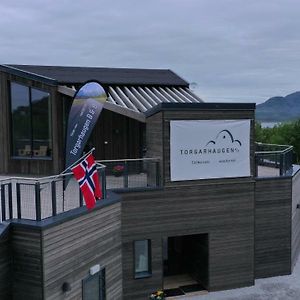 Torgarhaugen Gjestehus Bed & Breakfast เบรินเนยซุนด์ Exterior photo