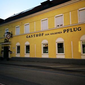Gasthof Zum Goldenen Pflug Hotel อัมชเตทเทิน Exterior photo