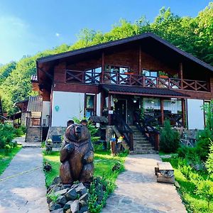 Chalet Vedmezhe Hotel โปลยานา Exterior photo