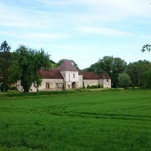 Chateau Des Roises Bed & Breakfast Bucey-en-Othe Exterior photo