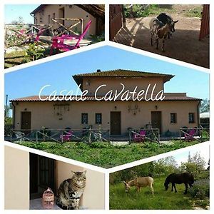 Casale Cavatella Bed & Breakfast แซร์โมเนตา Exterior photo