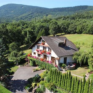 La Maison Fleurie Apartment Dieffenbach-au-Val Exterior photo