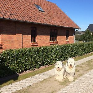 Ferienhaus Kranichnest Villa Kargow Exterior photo