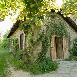 Circolo Dell'Orso Villa Grizzana Exterior photo