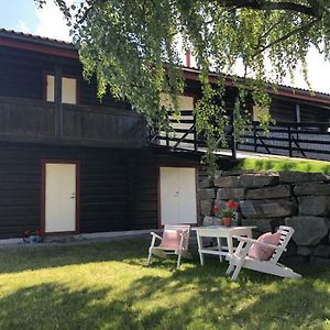 Drolsum Gard Apartment Vikersund Exterior photo