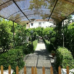 Il Giardino Degli Agrumi กาแซร์ตา Exterior photo