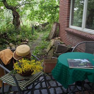 Gaestewohnung Im Naturgarten Naehe Steinhuder Meer วุนสตอร์ฟ Exterior photo