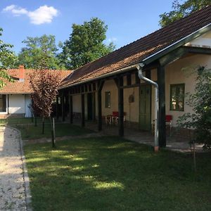 Farm House Apartment Domaszek Exterior photo