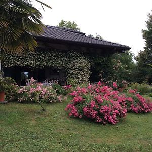 Le Querce Bed & Breakfast Tricesimo Exterior photo