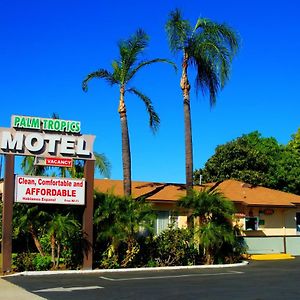 Palm Tropics Motel เกลนโดรา Exterior photo