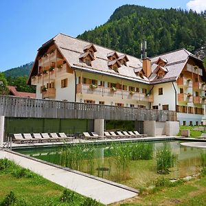 Hotel Plesnik Logarska Dolina โซลกาวา Exterior photo