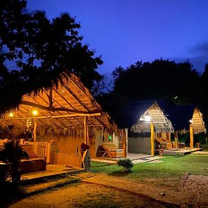 Hasthi Safari Cottage อุดาวาลาเว Exterior photo