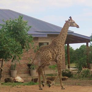 Mkhiweni Villa At Dombeya Wildlife Estate มบาบาเน Exterior photo