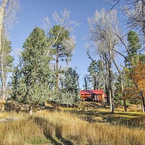 Cozy Colorado Cabin With Deck, Grill And River Access! บูเอโนวิสตา Exterior photo