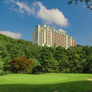 ยางจี ไพน์ รีสอร์ต Hotel ยงอิน Exterior photo