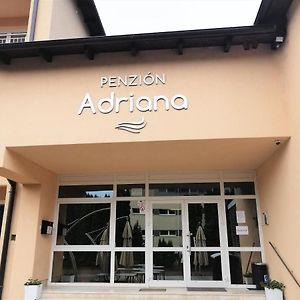 Penzion Adriana Hotel โนเว เมสโต นาด วาฮอม Exterior photo