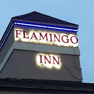 Flamingo Inn เอลค์ซิตี้ Exterior photo